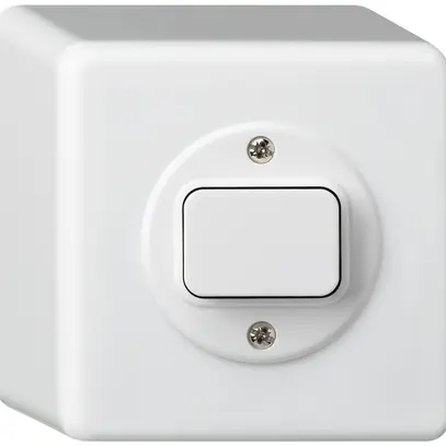 Interruttore AP basico 6/1L bianco 