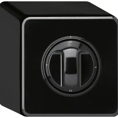 Interruttore rotativo AP basico 5/1L nero con manopola 