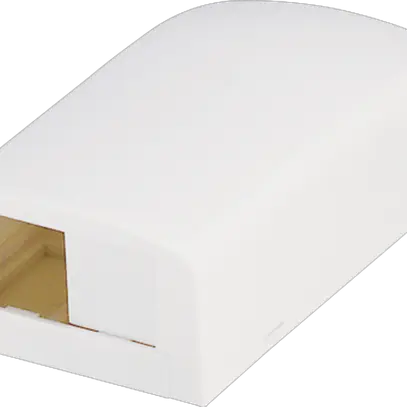 Boîte de raccordement AP Panduit pour 2 modules Mini-Com, blanc 