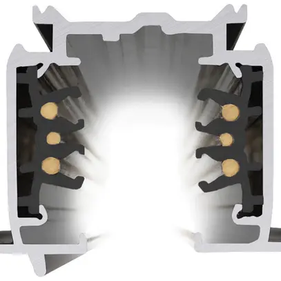Binario conduttore INS SLV S-TRACK DALI 3 fasi 230V alluminio 2000mm nero 