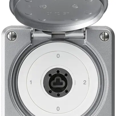 Interruttore a chiave INC robusto IP55 copertura senza cilindro S2/1P alluminio 