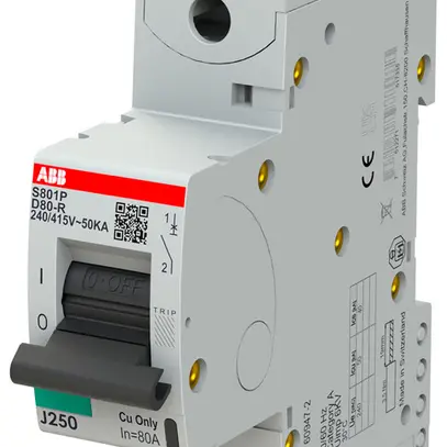 Disgiuntore ABB S801P-D80-R 1P 230V D-80A 50kA 1.5UM 