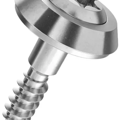 Vis pour façade à tête bombée SFS Ferronorm T25 4.5×35mm 