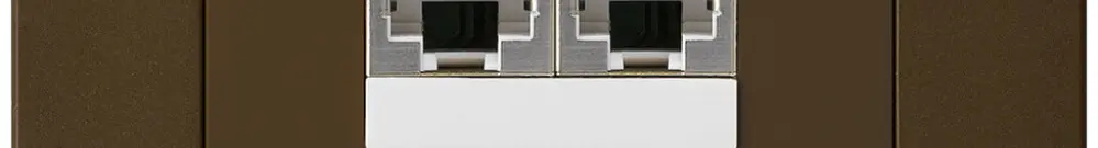 UP-Dose kallysto.pro 2×RJ45s parallel braun 
