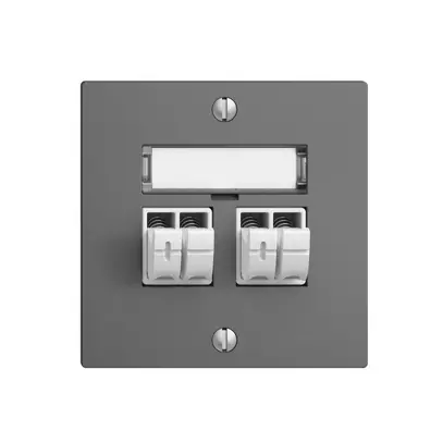 Prise audio Push Type EDIZIOdue F, 2×, kit d'inscription, gris foncé 