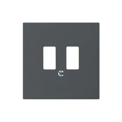 Plaque frontale kallysto pour prise USB anthracite 