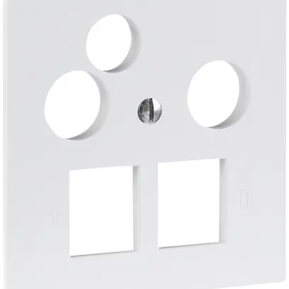 Plaque frontale R&M MiniDat 2×RJ45 3×coaxial 60×60mm blanc 