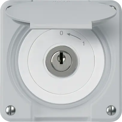 Contatto rotativo a chiave INC robusto IP55 grigio con coperchio 1P combinazione 