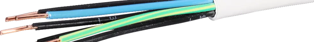 Cavo di sicurezza 6x1,5mm² 4LNPE FE0 Una lunghezza
