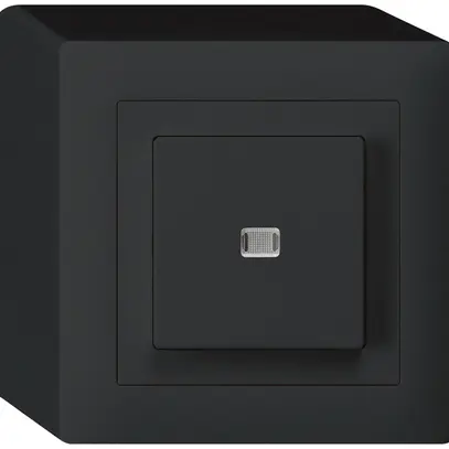 AP-Leuchtdrucktaster kallysto AR/2L schwarz 