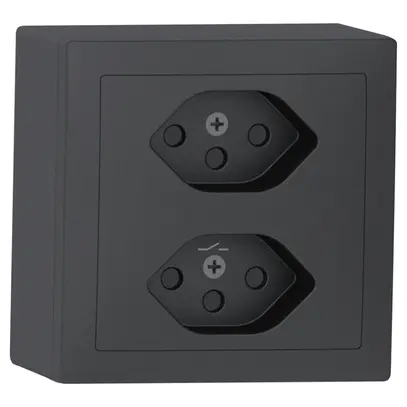 Prise AP Sidus 2×T13S anthracite 