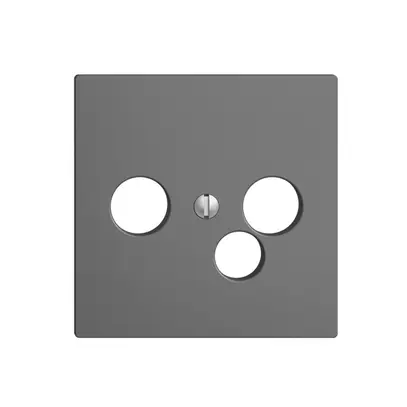 Plaque frontale EDIZIOdue gris foncé pour prise de date pour R/TV 