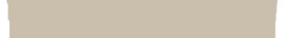 Piastra terminale WM WAP WDU/WTR4/ZZ 66.88×1.5mm be 