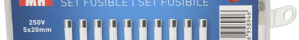 Assortimento di fusibili ritardati MAX HAURI ogni 10 pezzi 0.315…10A 