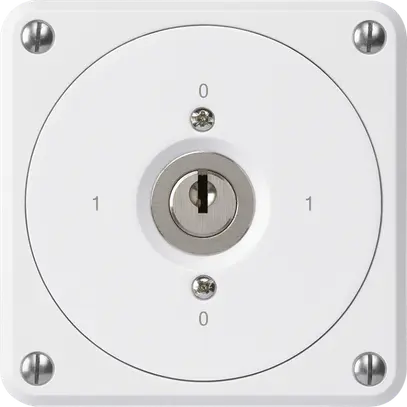 Interruttore a chiave INC robusto senza copertura 0/1P bianco per combinazione 