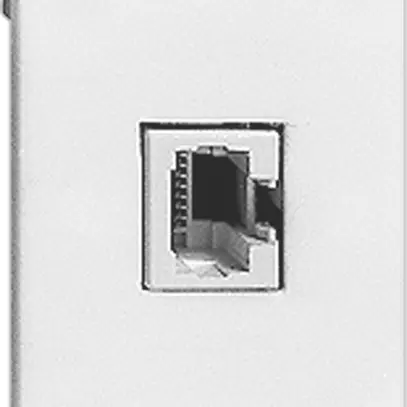 Scatola di raccordo INS FLF 1×RJ45 bianco 