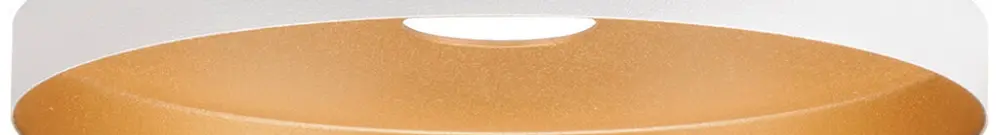 Abat-jour SLV LALU PLATE acier Ø150×15mm blanc or à teinte unie 