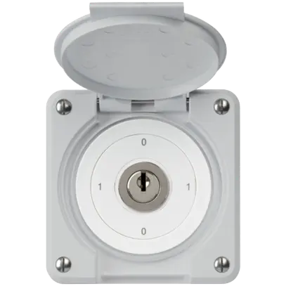 Interruttore a chiave INC robusto IP55 con copertura S0/1P grigio combinazione 