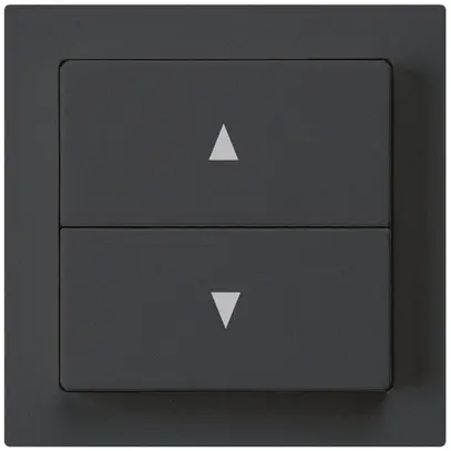 Poussoir pour stores kallysto noir avec 2 touches bornes enfichables 