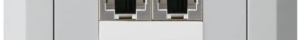 Boîte ENC kallysto.line 2×RJ45s gris clair parallèle 