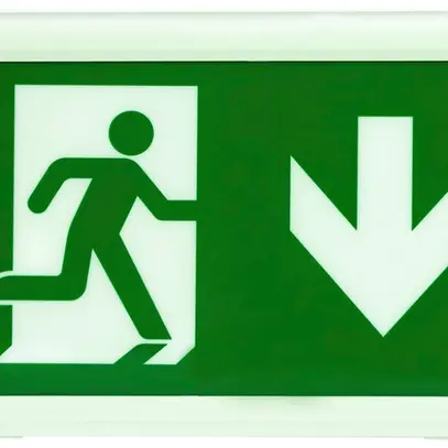 Luminaire de voie de secours LED DOTLUX EXITflat IP40 en saillie/à encastrer 