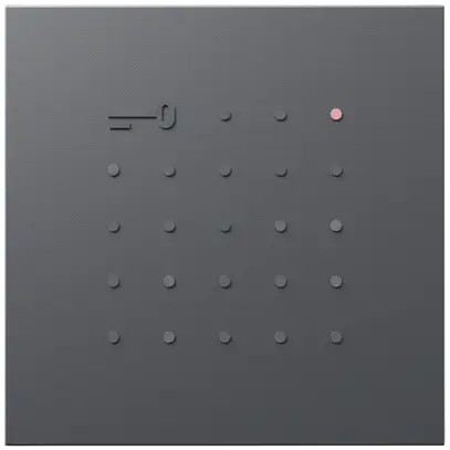 Modulo lettore transponder Siedle indipendente dal sistema 12V AC/DC grigio 