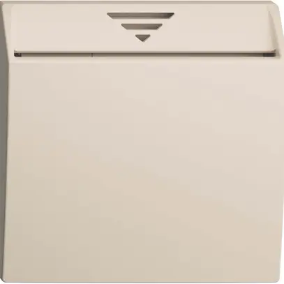 Einsatz zu Schalter Hotelcard 250VAC 1L EDIZIOdue crema 