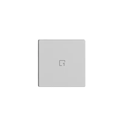Poussoir 1/1 ENC Edue Wiser symbole scène 1 gris clair 