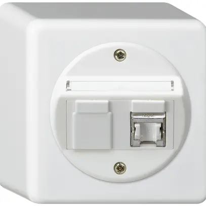 Boîte de raccordement AP basico cat.6 1RJ45/s blanc 