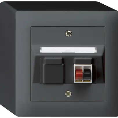 Prise AP audio kallysto 1×anthracite borne à étrier pour 1 haut-parleur 