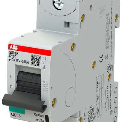 Disjoncteur ABB S801P-C100 1P 230V C-100A 50kA 1.5UM 