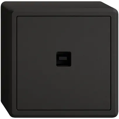 Interfaccia dati USB KNX AP EDIZIO.liv SNAPFIX® presa USB tipo B ne 