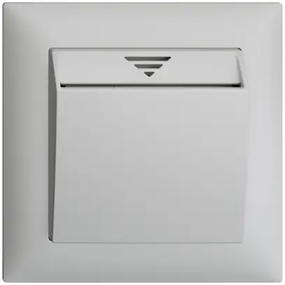 KNX Hotelcard ENC 1P EDIZIOdue gris clair 