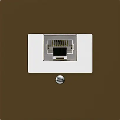 Scatola INC kallysto 1×RJ45s marrone 