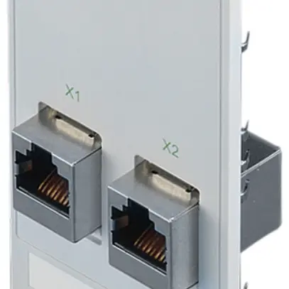 Schnittstelle Rittal SZ 2482.560 Einsatz 2×RJ45 (Kat.5e) 