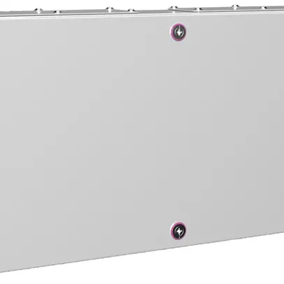 Piccola scatola Rittal KX Derivazione, piastra, IP55, 600×300×120mm, acciaio 