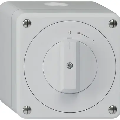 AP-Schwenktaster robusto IP55 grau 1P 