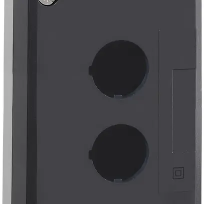 Scatola di comando AP Schneider Electric 2 elementi grigio chiaro 