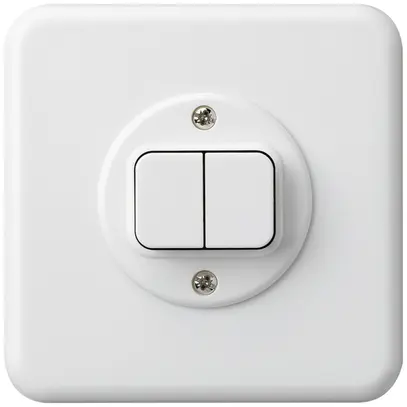 UP-Druckschalter basico 1/1L weiss 