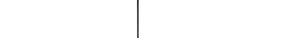 Pendelleuchte SLV PARA CONE GU10 35W 1-Ph.-Adapter Ø135mm schwarz 