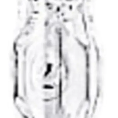 Lampada alogena per proiettore R7s 230V 120W li 