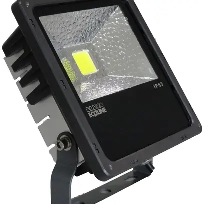 Projecteur LED 10W Daylight noir 