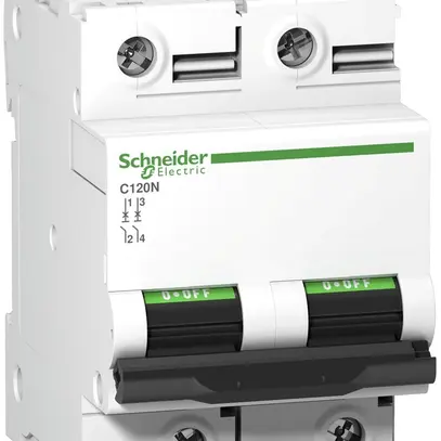 Disgiuntore Schneider Electric iC120N 125A (B) 2L 10kA 
