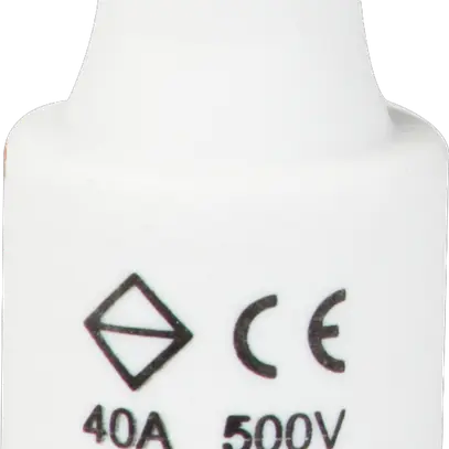 Fusibile D DIII 40A 500V gG con indicatore 