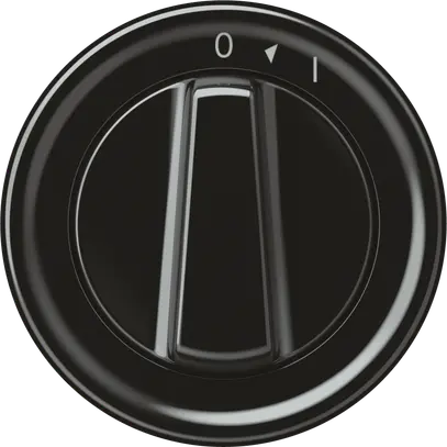 Pulsante rotativo origin 1P 0<1 1P 0<1 10A 230V 60×60mm nero 