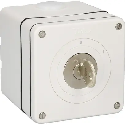 Interruttore AP NEVO 2P, IP21, 0-1, cil.1007F, 12h, piano 5000, bi 