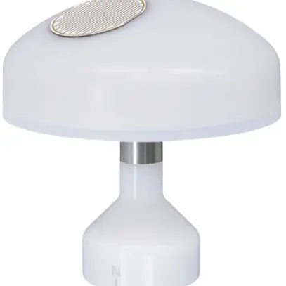 AP-Wetterstation Somfy animeo M13, 24VDC, RS485-Anschluss, Ø103×105mm 
