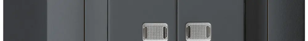 Contact à poussoir lumineux AP kallysto 2×AR/1L avec 2 lentilles anthracite 