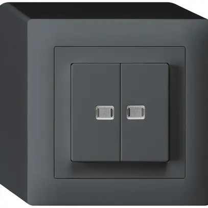 Contact à poussoir lumineux AP kallysto 2×AR/1L avec 2 lentilles anthracite 