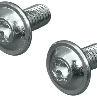 Vis Rittal SZ 2504.500 12mm TX M6 tête semi-ronde 300pcs 